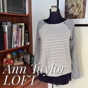 LOFT | Striped Terry Sweatshirt